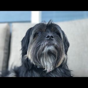 Meet your Posher, Mark